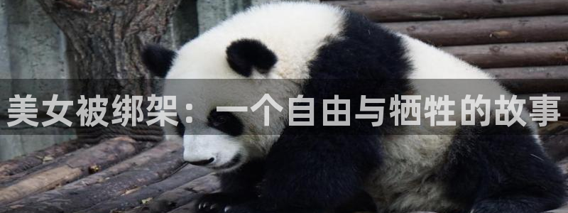 漫画喵趣：美女被绑架：一个自由与牺牲的故事